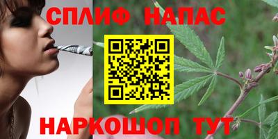 сатива Изобильный