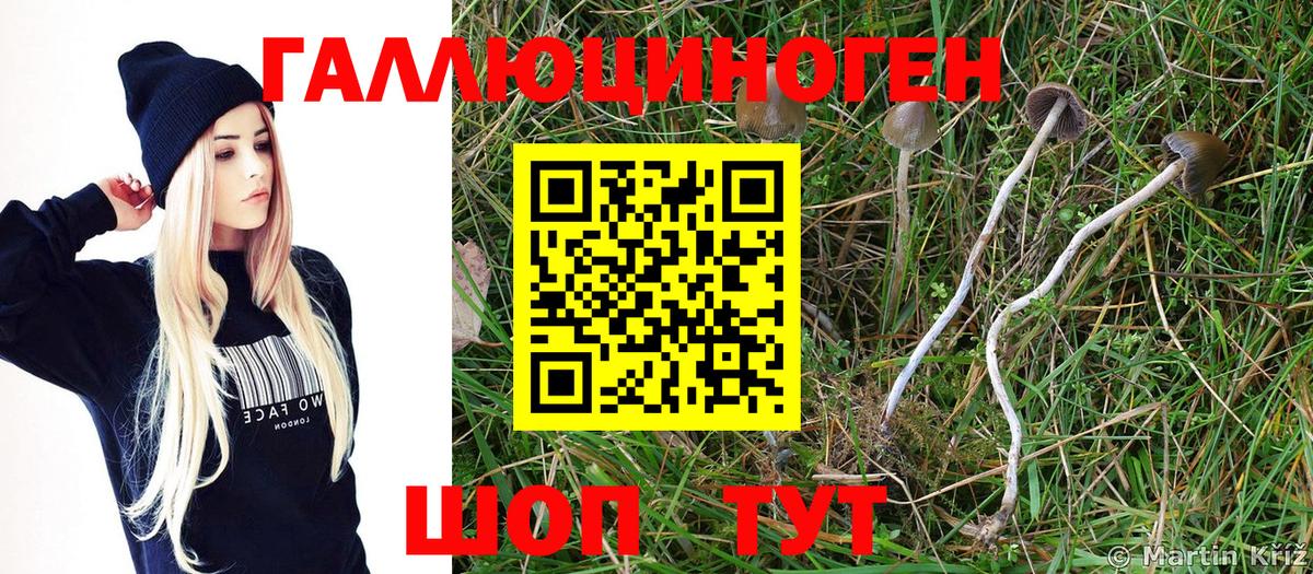 Галлюциногенные грибы MAGIC MUSHROOMS Южно-Сахалинск